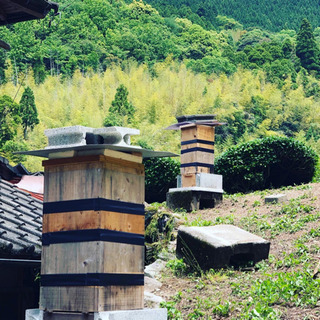 オーガニック農業インターンシップ募集の画像