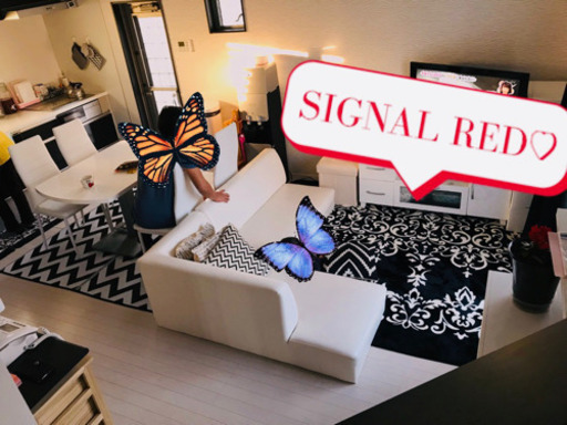 【テーブル、チェアー取引き終了しました】ソファー、ダイニングテーブル、チェアーセット☆