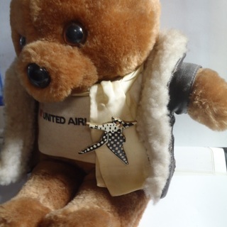 ★★★UNITED AIRLINES ユナイテッド航空【クマの革ジャンぬいぐるみ 　其のⅡ】★★★★の画像