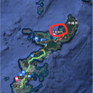 キャンプ場に最適‼️真ん中に沢の流れる、これから国をあげて開発される沖縄北部の大宜味村の土地1500坪 - 南房総市