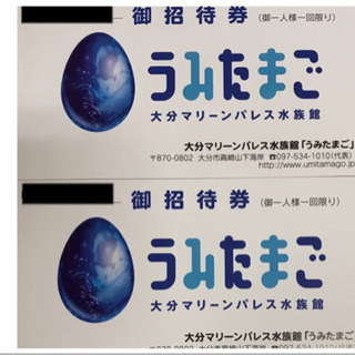 🐬3100円お得🐬うみたまご🐬チケット２枚🐬期限〜8/17  