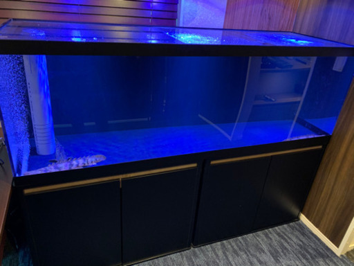 1800×60×60 オーバーフロー水槽　背面、底面ブラック