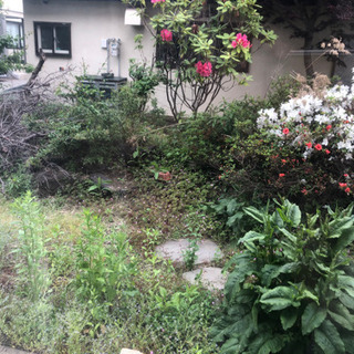草むしり助けてください。  お話中