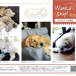 弊社のオリジナル愛犬家向け冊子ラバーズドッグvol.4へのワンち...