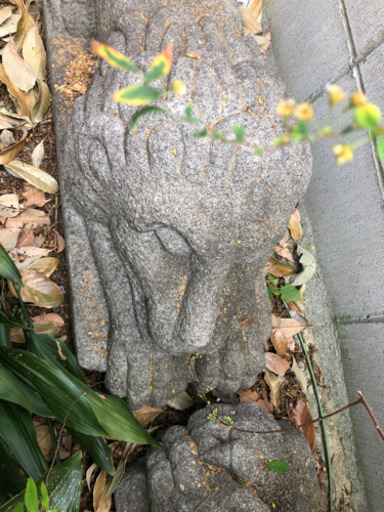 《締切10/11→最終値下げ》【獅子】の石像.霊験あらたかな大きく立派な石の置物です(ペア)