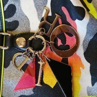 ★限定Diorバッグ★の画像