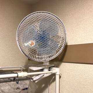 クリップ扇風機　LIFEJOY　小型