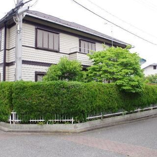 広い4LDK+S 141.59㎡！全部屋リノベ済！部屋数が多くリ...