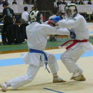 寸止め空手（オリンピック競技）の画像