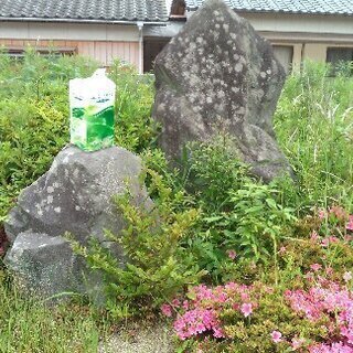 大きな庭石いろいろ・無料での画像