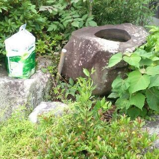 大きな庭石いろいろ・無料での画像