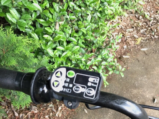 ✳️V02X電動自転車F38N?ブリジストン❤️4アンペア?