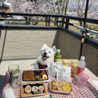 友達ほしいです！