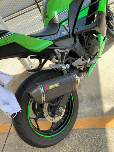 ninja250 special edition 19800km アクラポビッチ