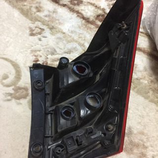 フリードテールの画像