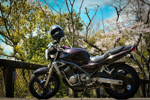 バリオス1型　茶色