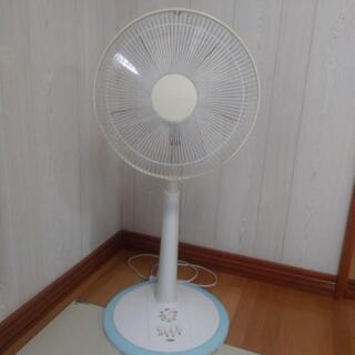 6月中! 扇風機