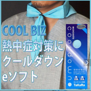 【訳有半額未使用】接触冷感ジエルパット「クールダウンeソフト」熱...