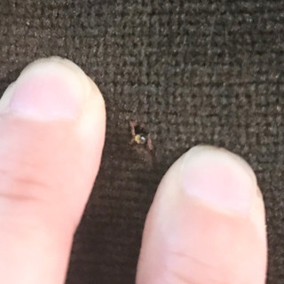 アンティークチェア　難アリの画像