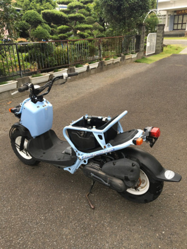 ズーマー　限定車　美車　フルノーマル