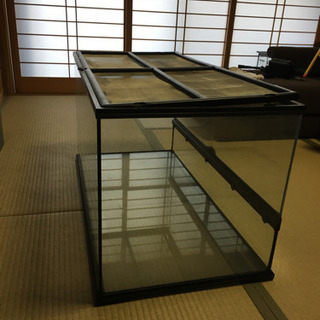 2連はしご☆EX80『Pica 』