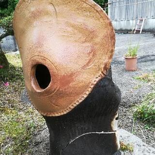 信楽焼のタヌキ　受け取り決まりました。の画像