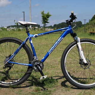 GARY FISHER  MAMBA  2009 / 29er マウンテンバイク TREK