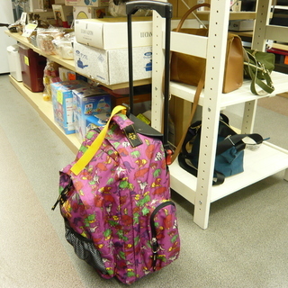キャリーケース　スーツケース　Jack Wolfskin TREK & ROLL KID'S　キッズ用　西岡店の画像