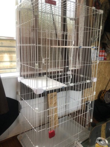 猫　ゲージ　新品
