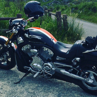 ハーレーダビットソン VRODの画像