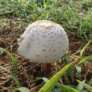 農、食文化、手作りの暮らしに興味のある方、お友達になりませんか？