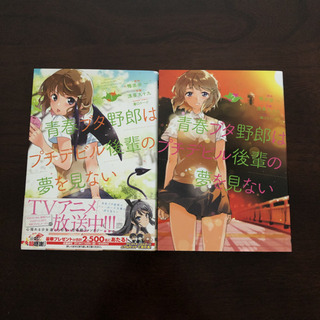 【SOLD OUT】青春ブタ野郎はプチデビル後輩の夢を見ない 1...