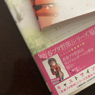 【SOLD OUT】青春ブタ野郎はプチデビル後輩の夢を見ない 1・2巻(完結)の画像