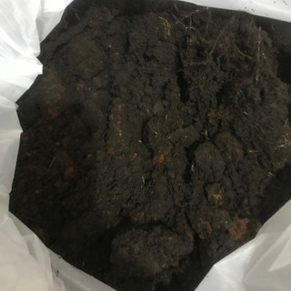 残土差し上げます（7）