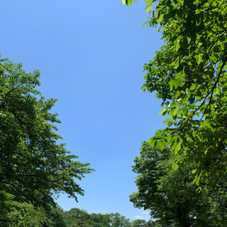 『あおぞら🌿yoga』　青空の下、芝生の上でゆるっとヨガをしましょう🌿の画像