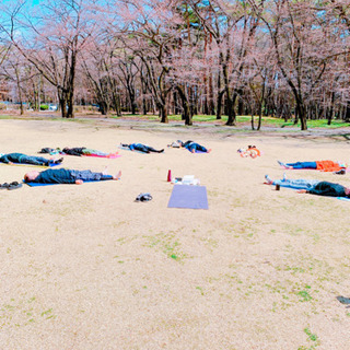 『あおぞら🌿yoga』　青空の下、芝生の上でゆるっとヨガをしましょう🌿の画像