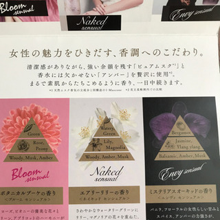 FLAIR IROKA の画像