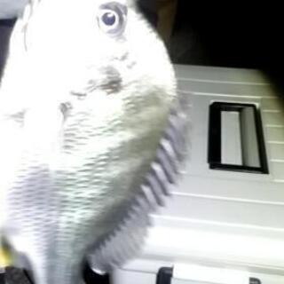 始めまして