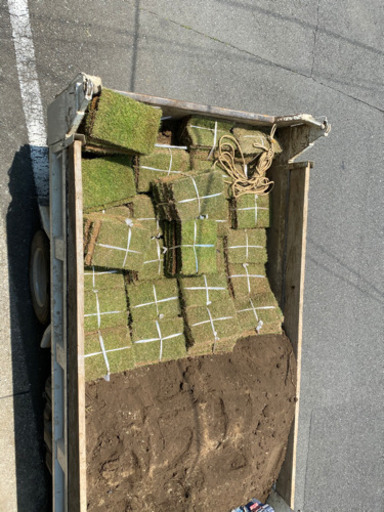 天然芝生25平米