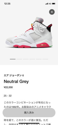 ジョーダン 6  ナイキ　スニーカー