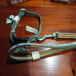 犬のリード新品の画像