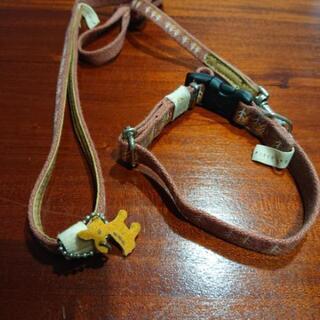 犬のリード新品の画像