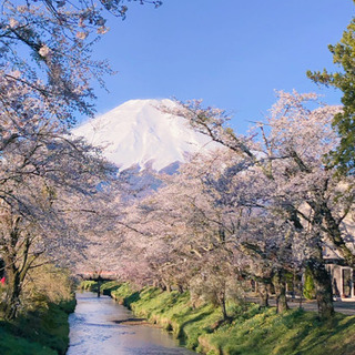 釣りと富士山系YouTuberを一緒にやりましょう♪再募集！ - 南都留郡