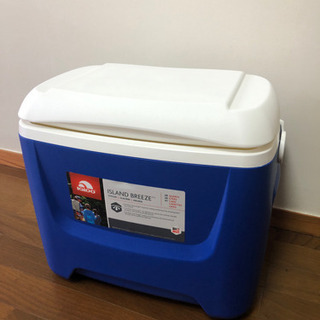 【美品】IGLOO　クーラーボックス❗️（商談中）