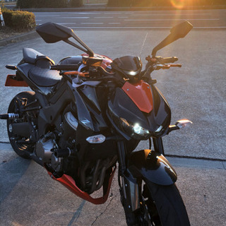 z1000の画像