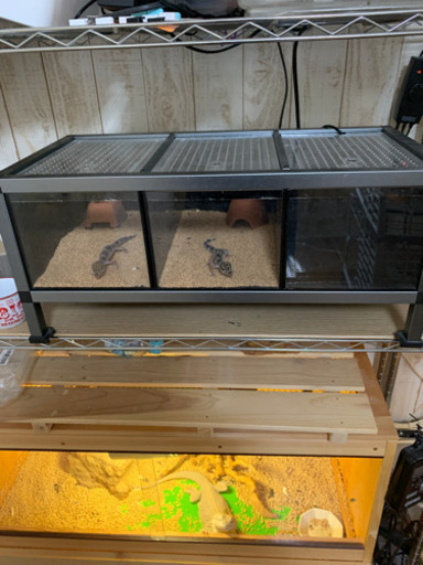 タフラック　専用ヒーター＆サーモ付き