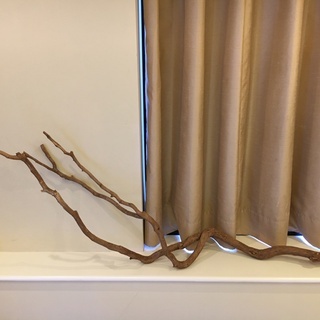 ☆新品☆流木オブジェ華道インテリアアンティークディスプレイ店舗