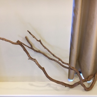 ☆新品☆流木オブジェ華道インテリアアンティークディスプレイ店舗の画像