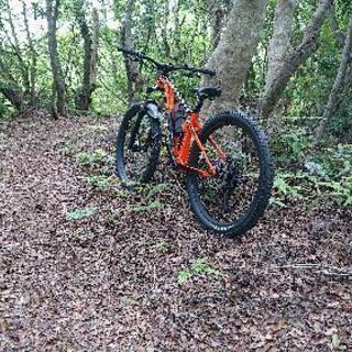 静岡県東部～西部でポタリング、MTBでトレイルライドなど仲間募集 