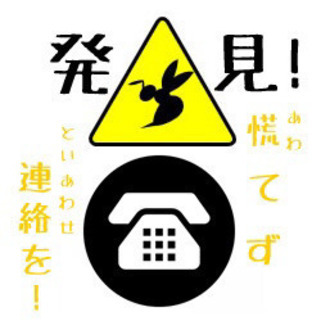 蜂(蜂の巣)発見!!  慌てないでッ! ご相談ください ♪
